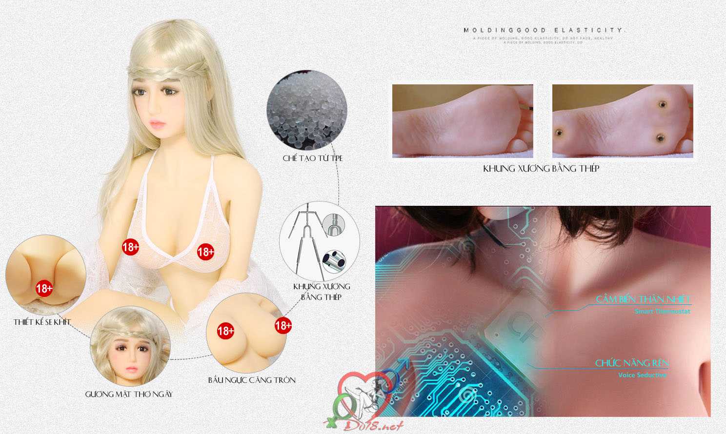 Cau tao bup be tinh dục cao cap