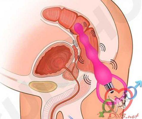 Trứng rung kích thích hậu môn