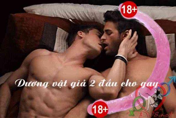 Dương vật giả 2 đầu cho gay