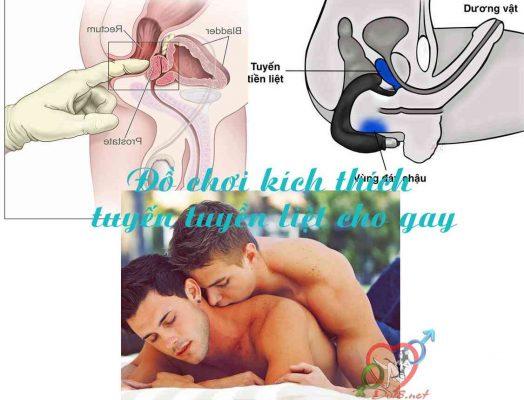 Sex Toy Cho Gay