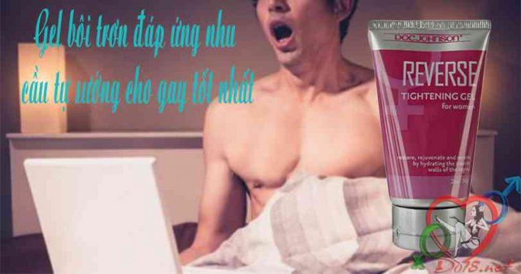 Đồ chơi tình dục cho gay