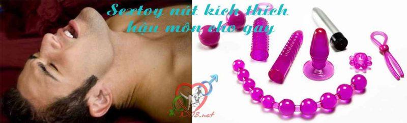 Sextoy cho gay